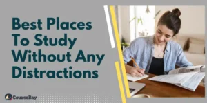 15 Best Places to Study Without Any Distractions (2024)